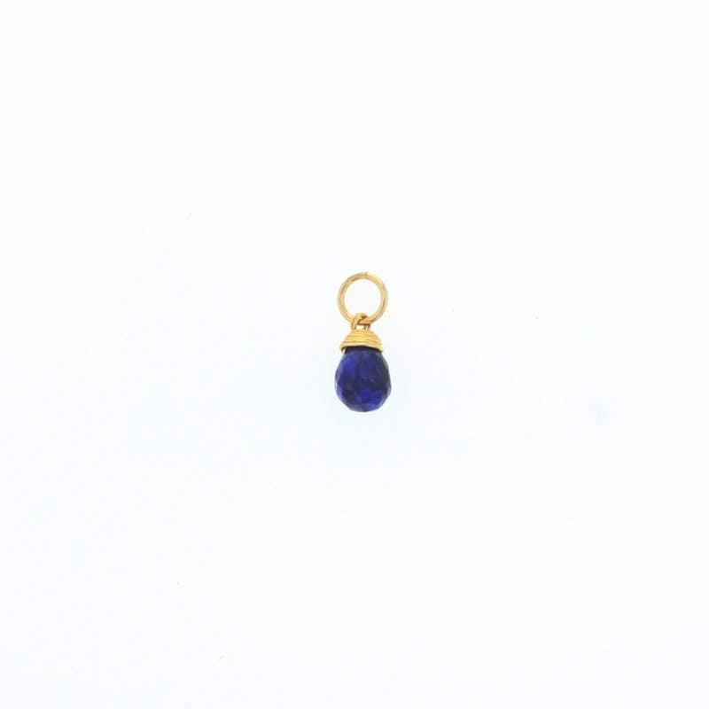 Natural Birthstones Charm