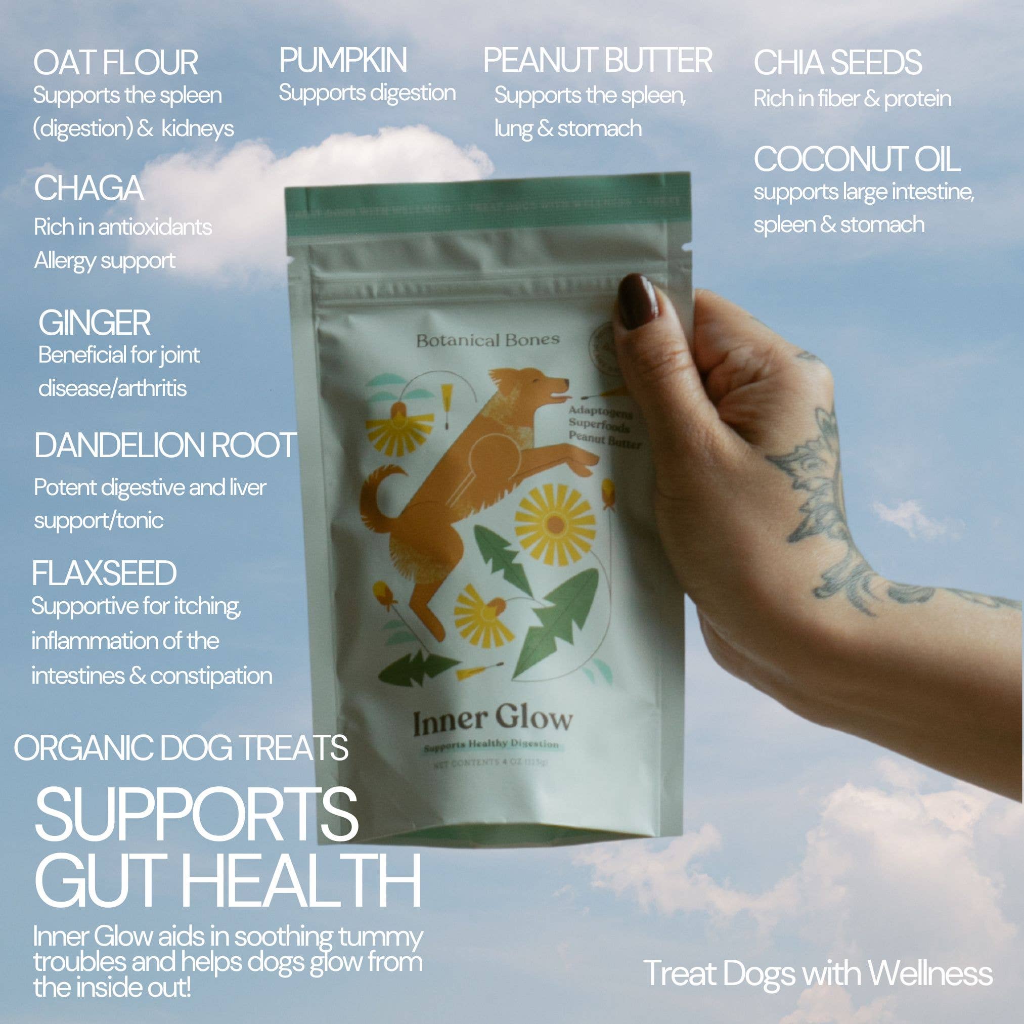 Inner Glow Cookies - All Natural, Organic Dog Treats