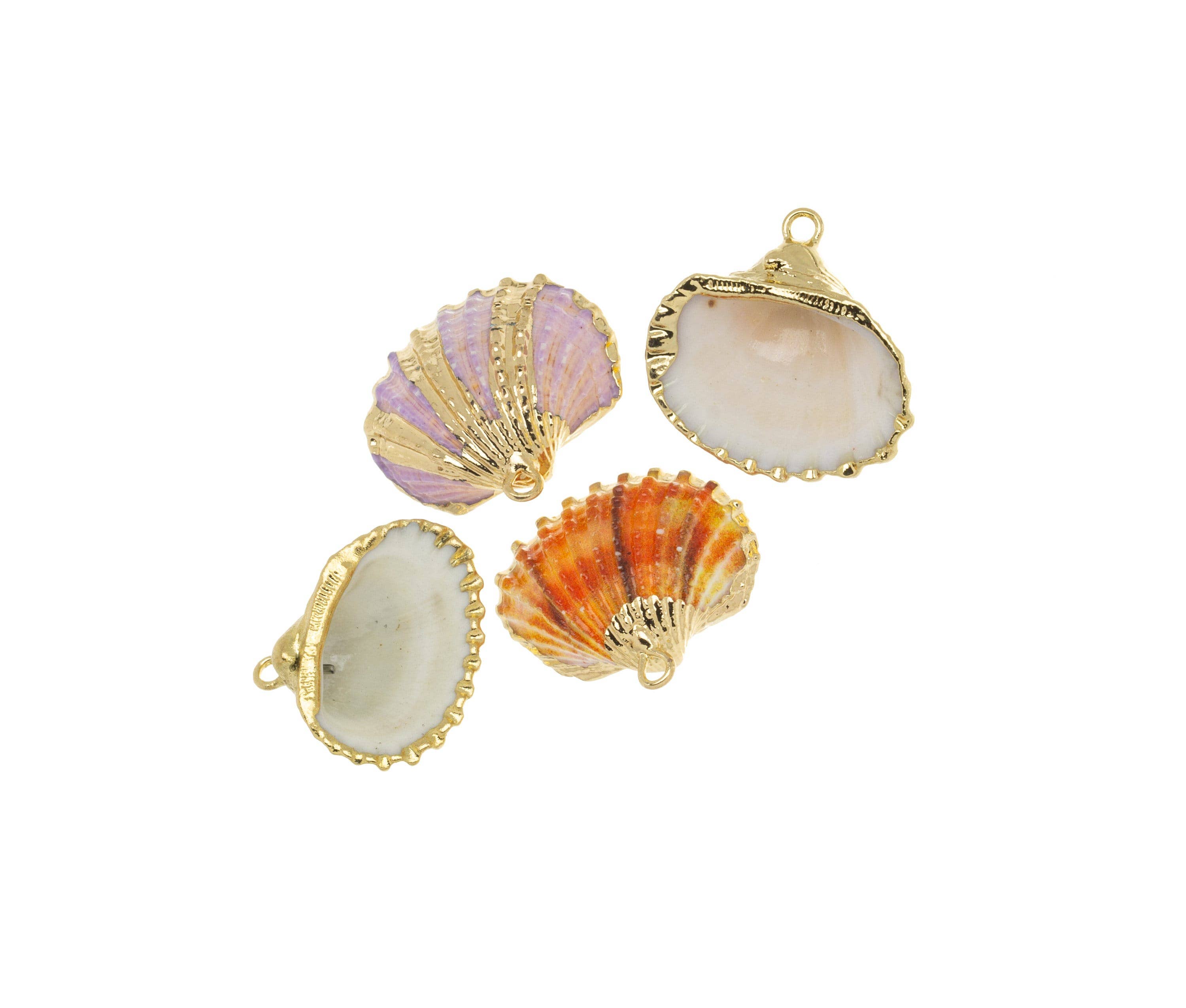 Sea Shell Clam Charm Wholesale Various Quantities CPG731