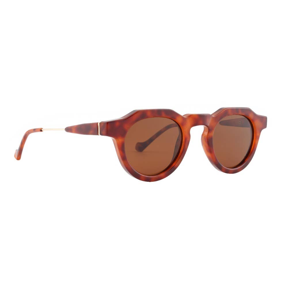 KOA | Tortoise | Brown Lens