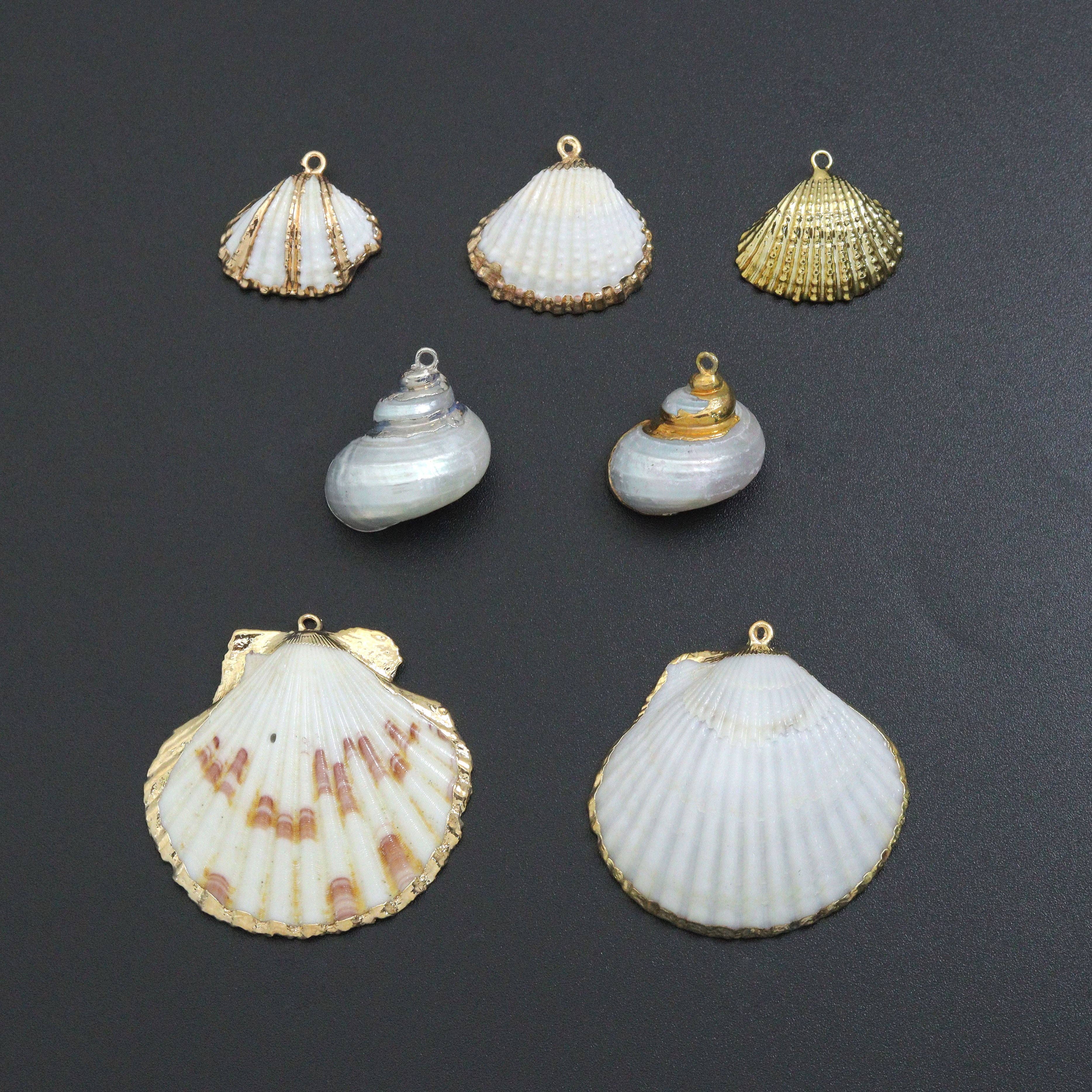 Associated Natural Seashell Pendant charm, EF823