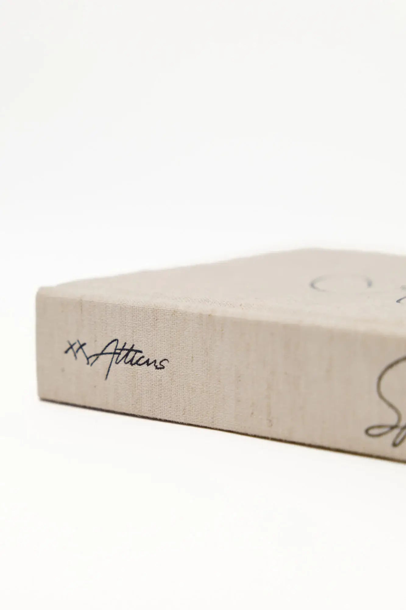 Spark: The One-Sentence Journal by Atticus