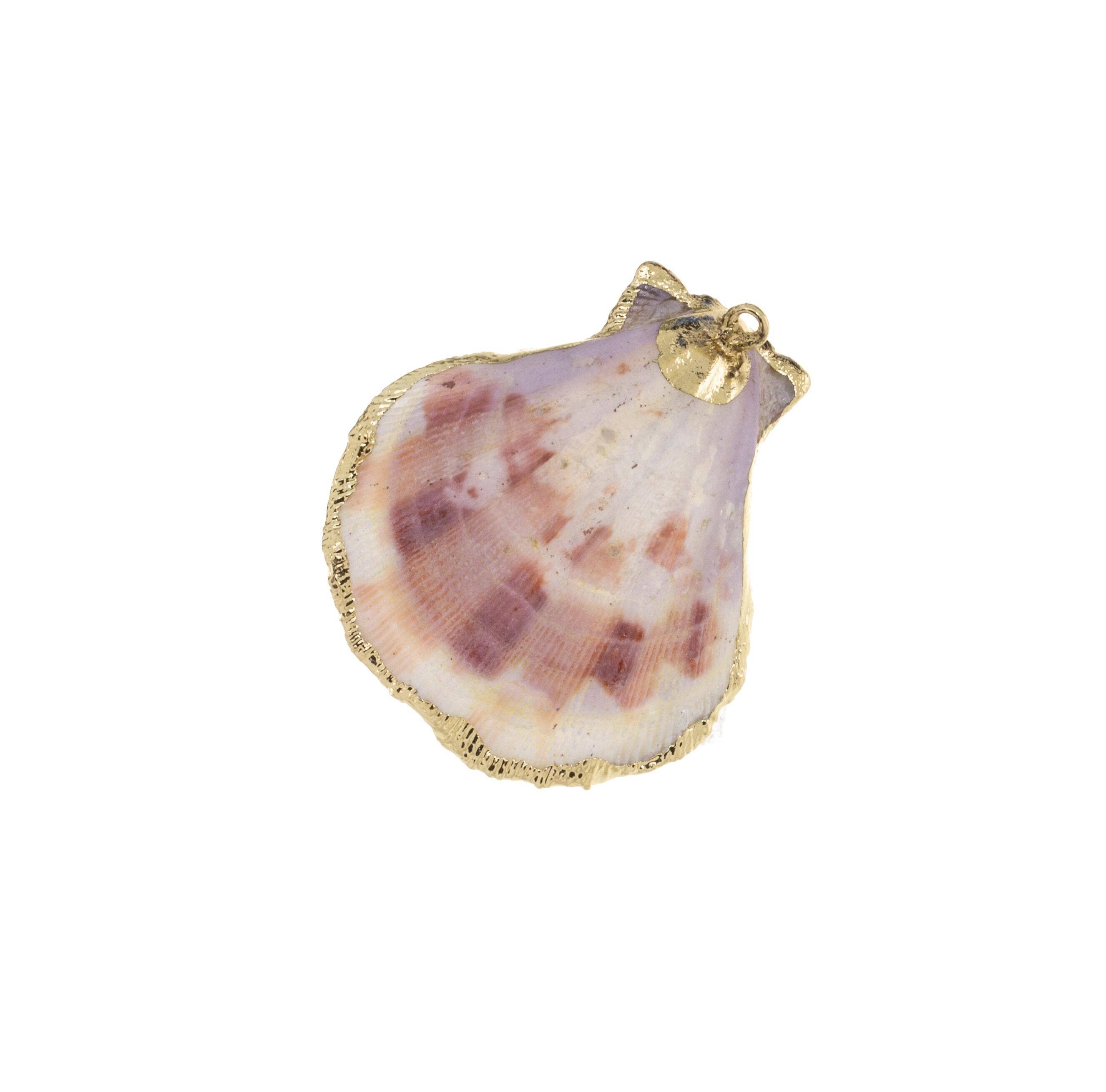 Scallop Shell Charms for Wind Chimes and Jewelry CPG736