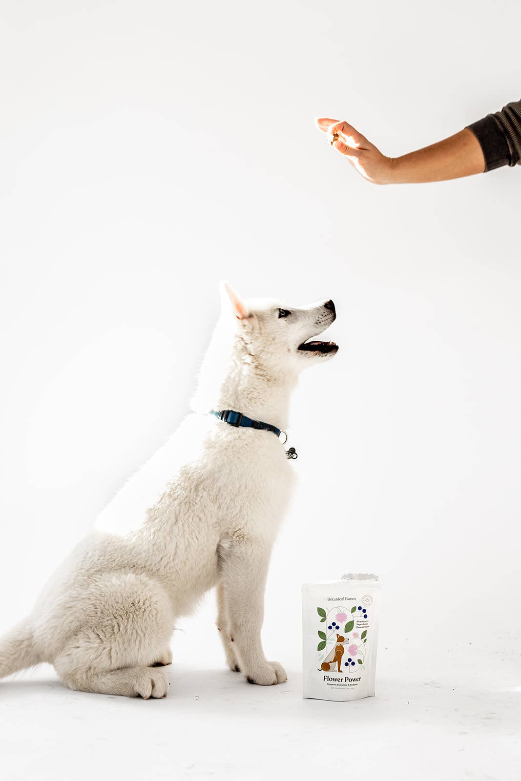 Flower Power Cookies - All Natural, Organic Dog Treats