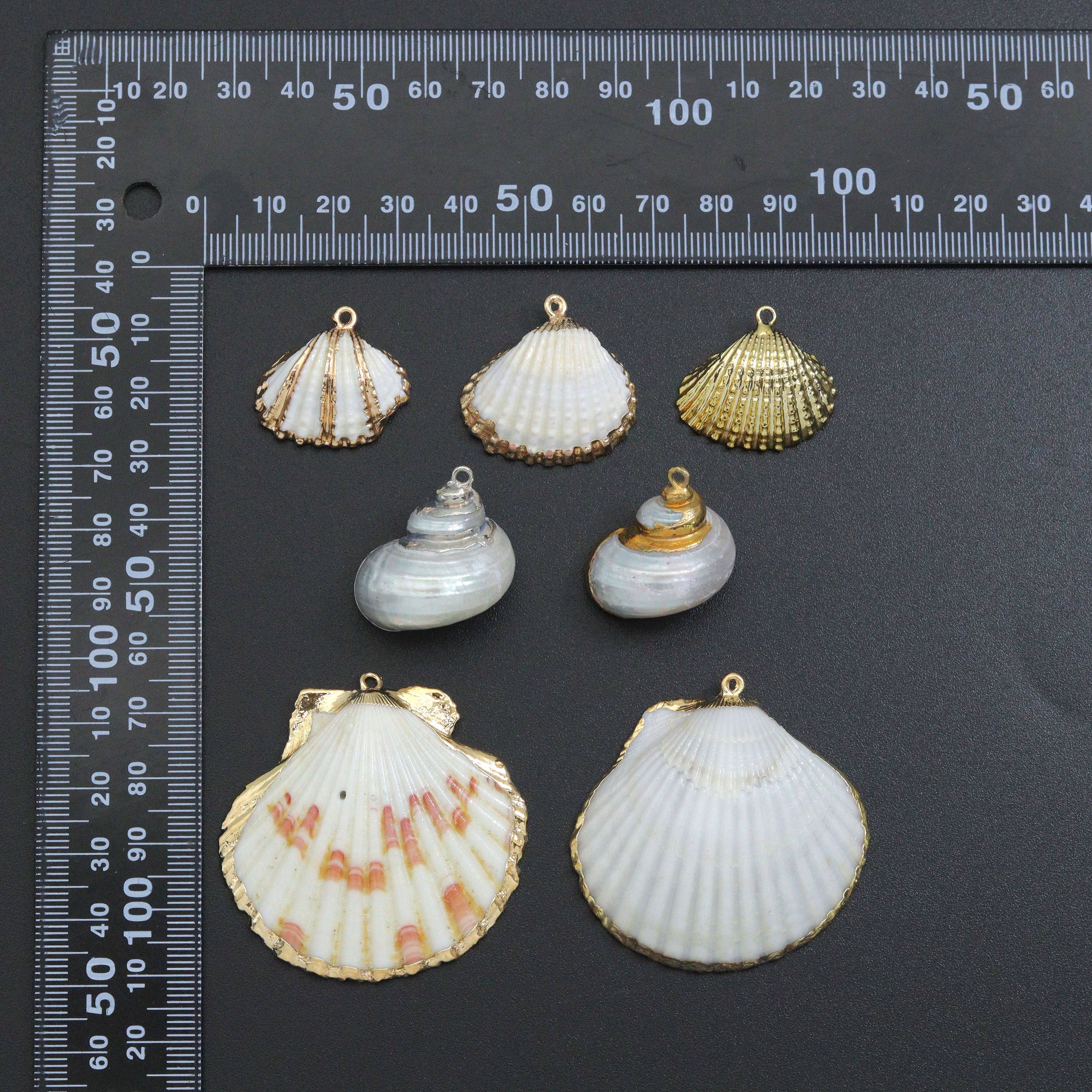 Associated Natural Seashell Pendant charm, EF823