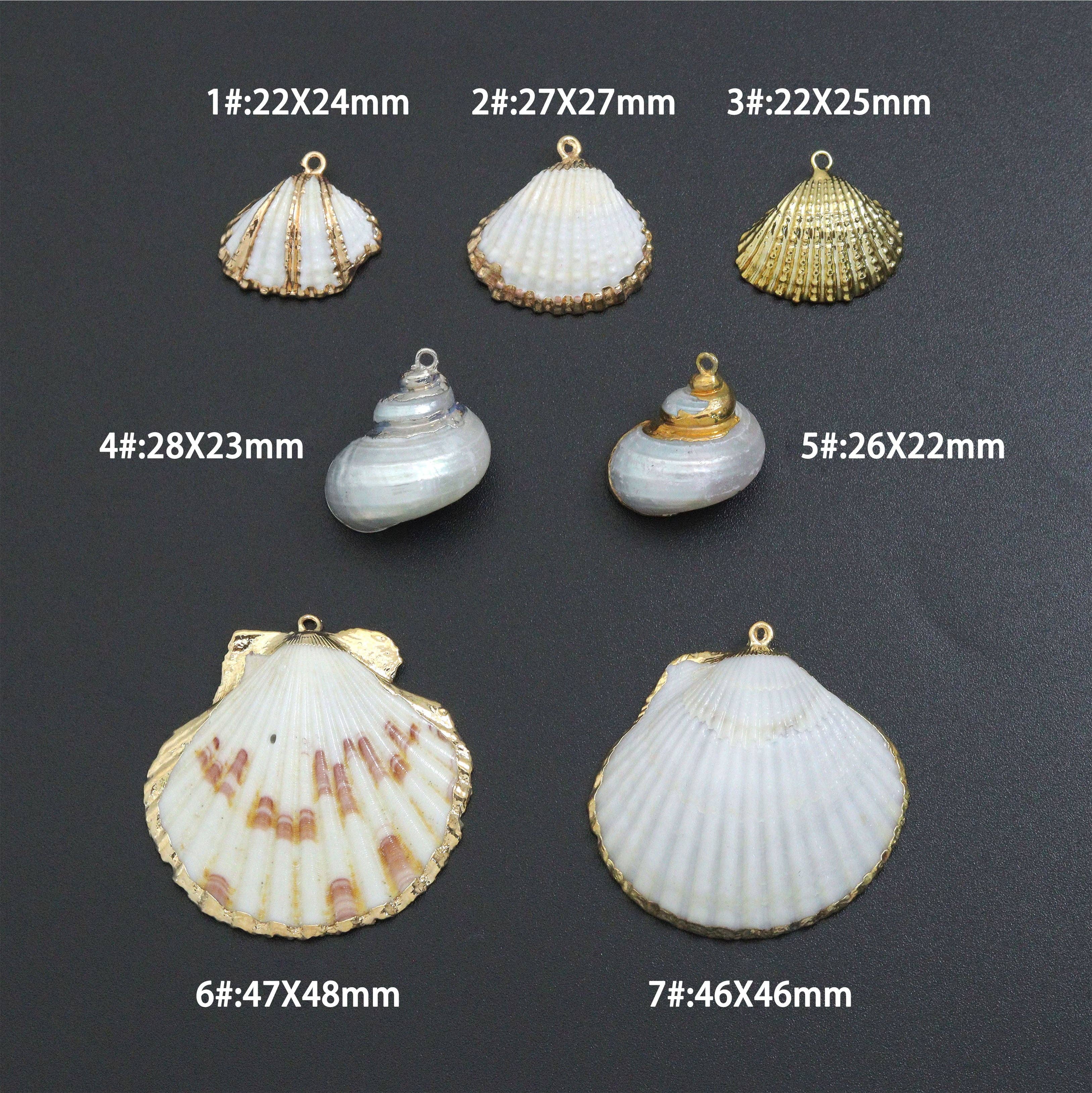 Associated Natural Seashell Pendant charm, EF823