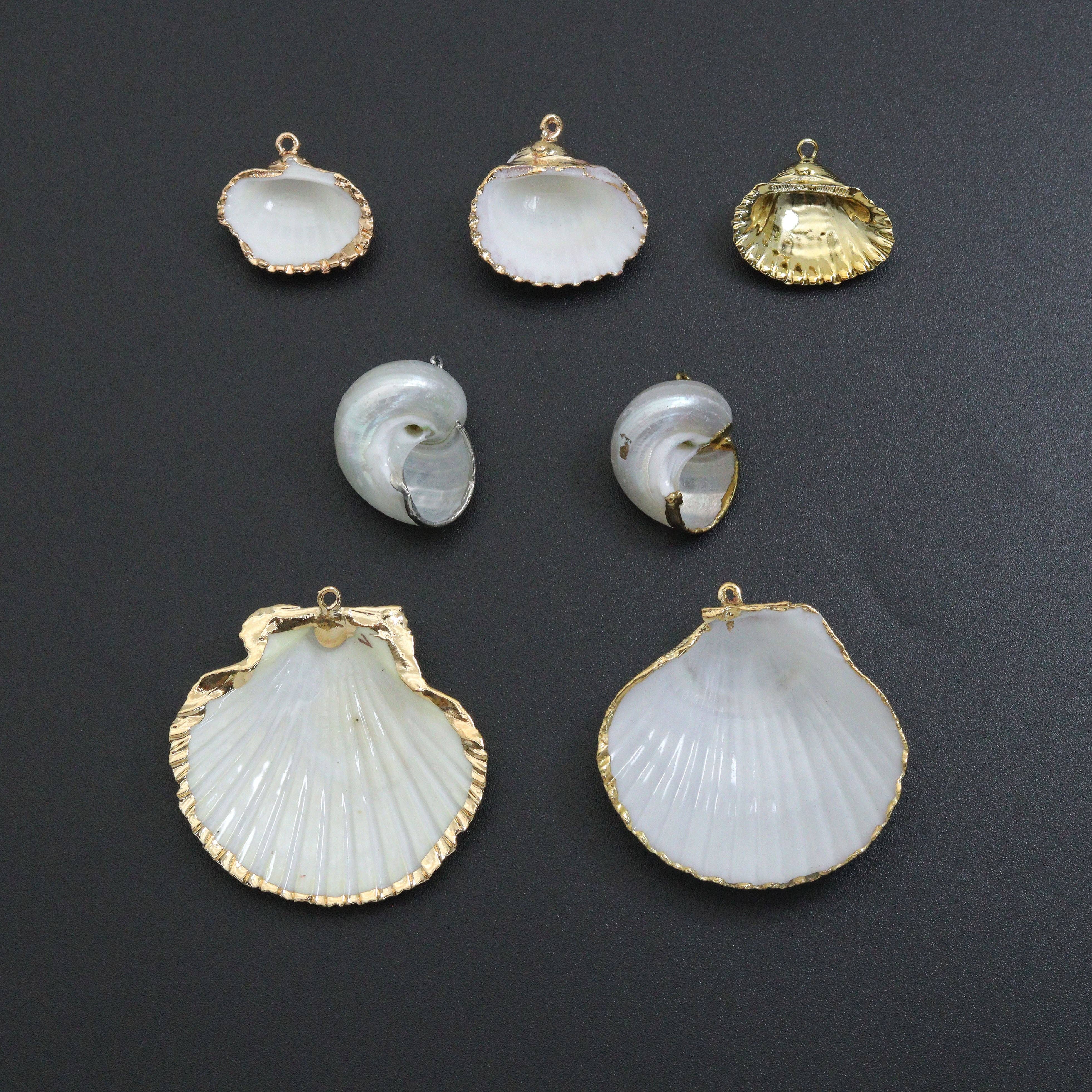 Associated Natural Seashell Pendant charm, EF823