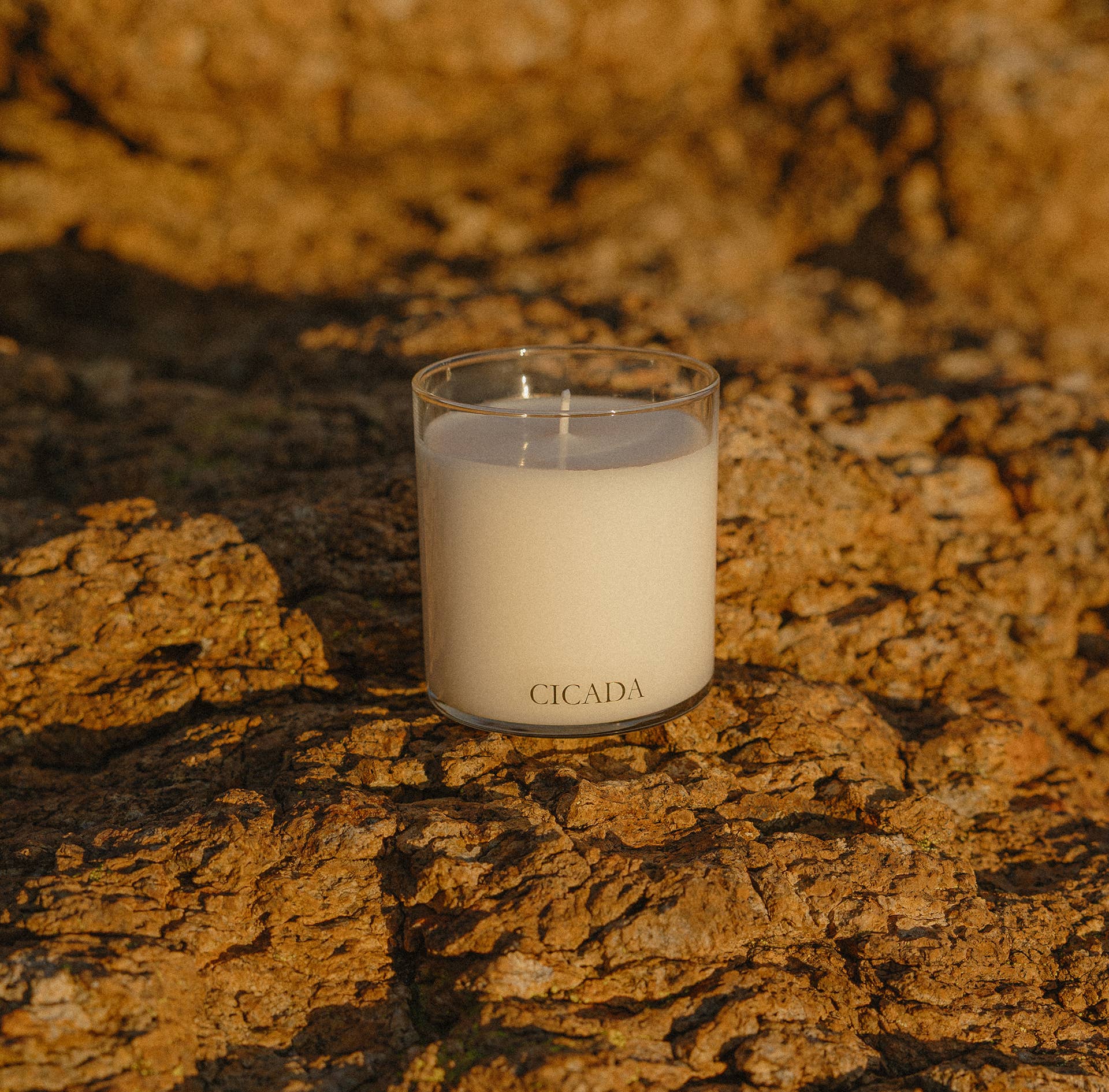 No. 05 Medium Candle - Desert blossoms