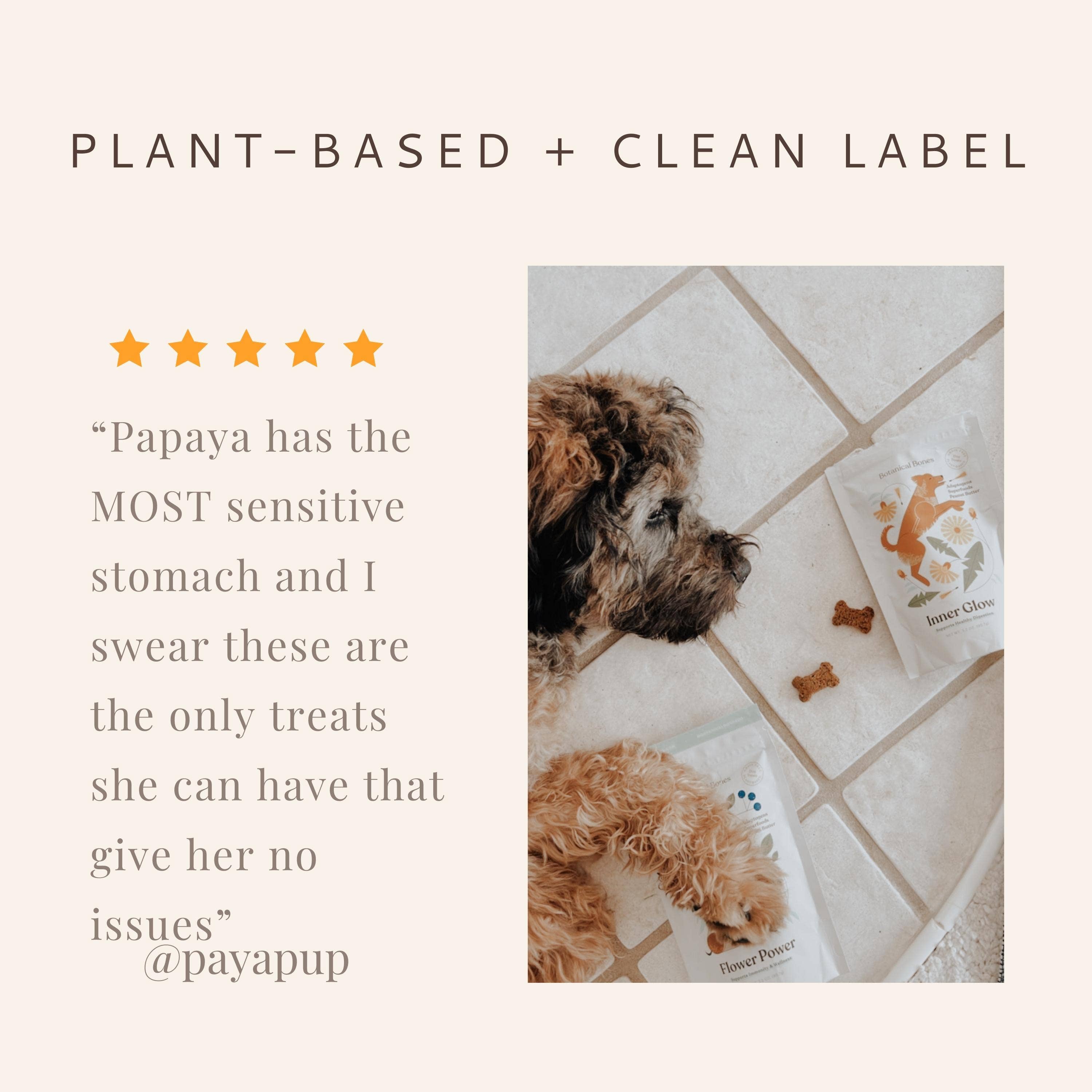 Flower Power Cookies - All Natural, Organic Dog Treats