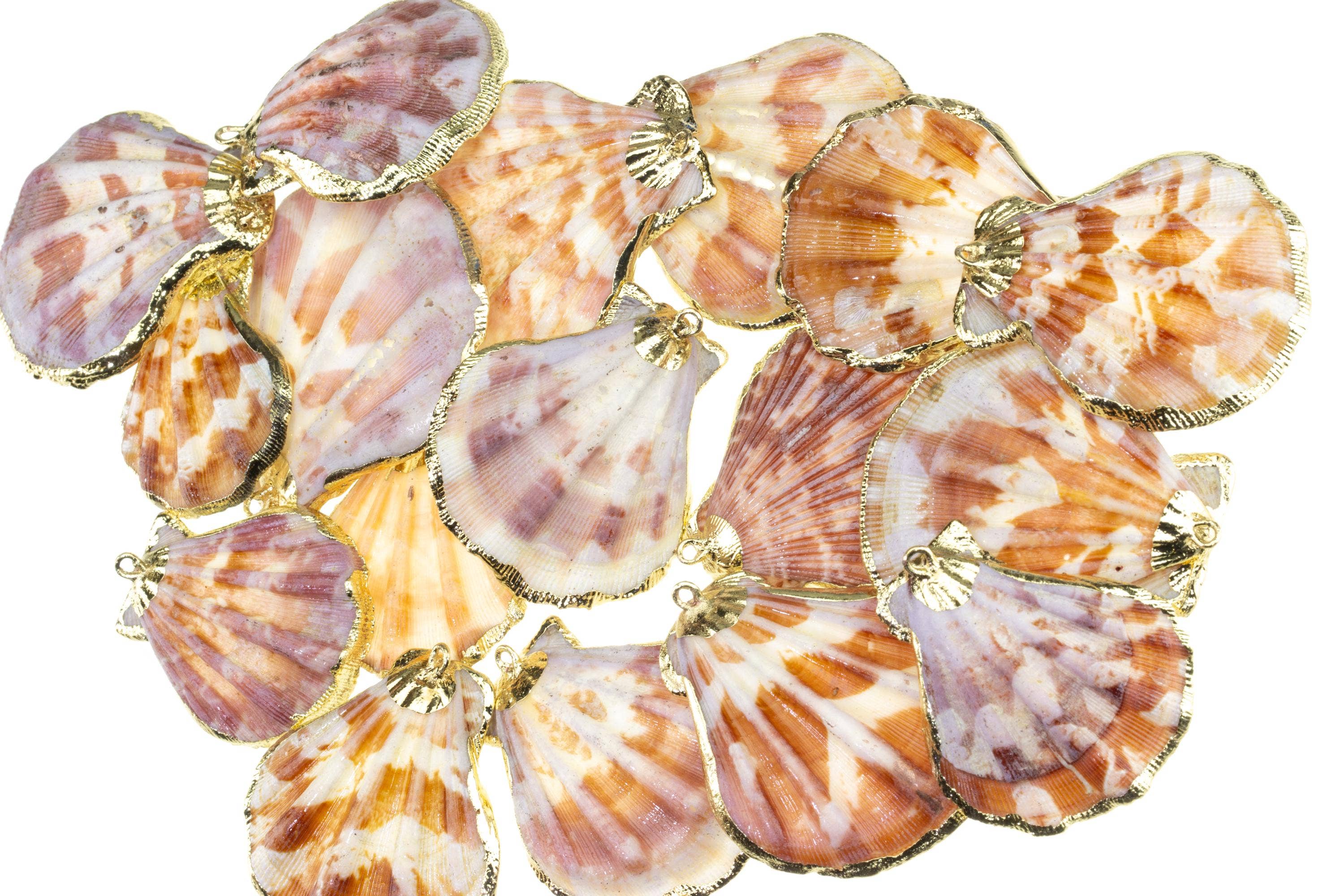 Scallop Shell Charms for Wind Chimes and Jewelry CPG736