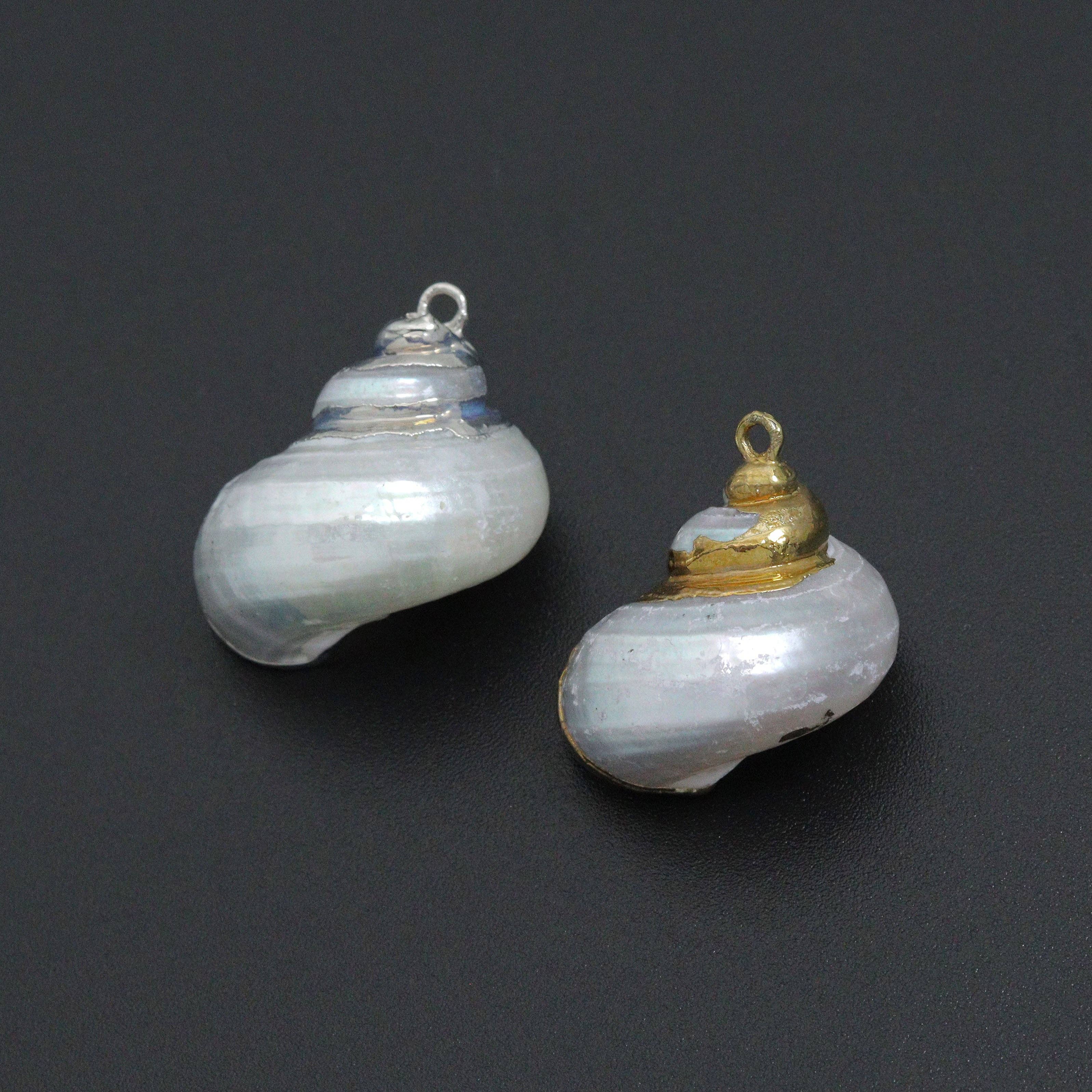 Associated Natural Seashell Pendant charm, EF823