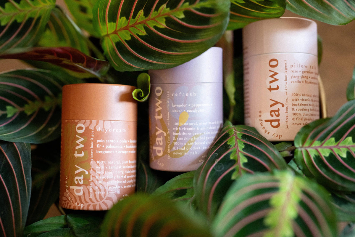 DAYDREAM • 100% natural dry shampoo •