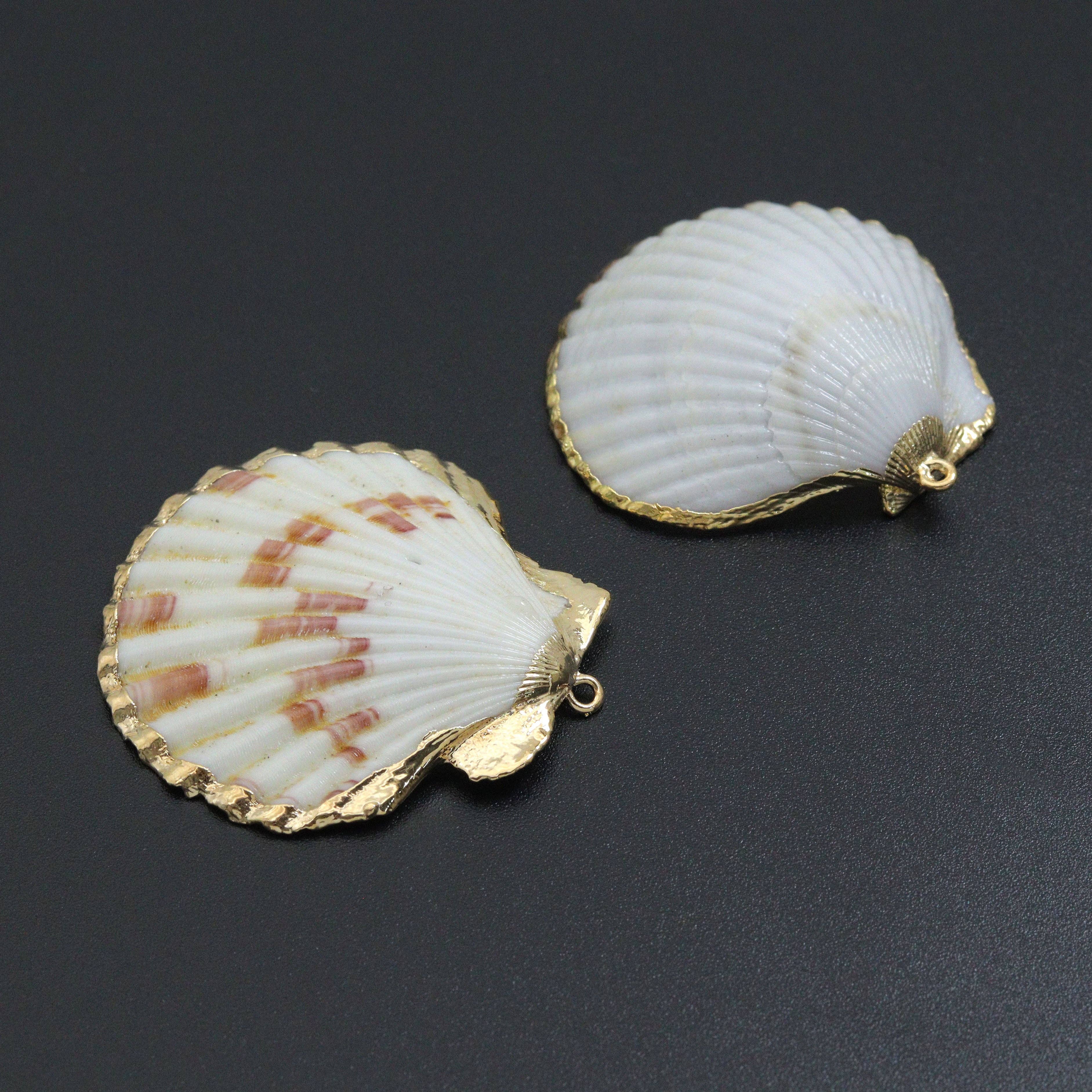 Associated Natural Seashell Pendant charm, EF823