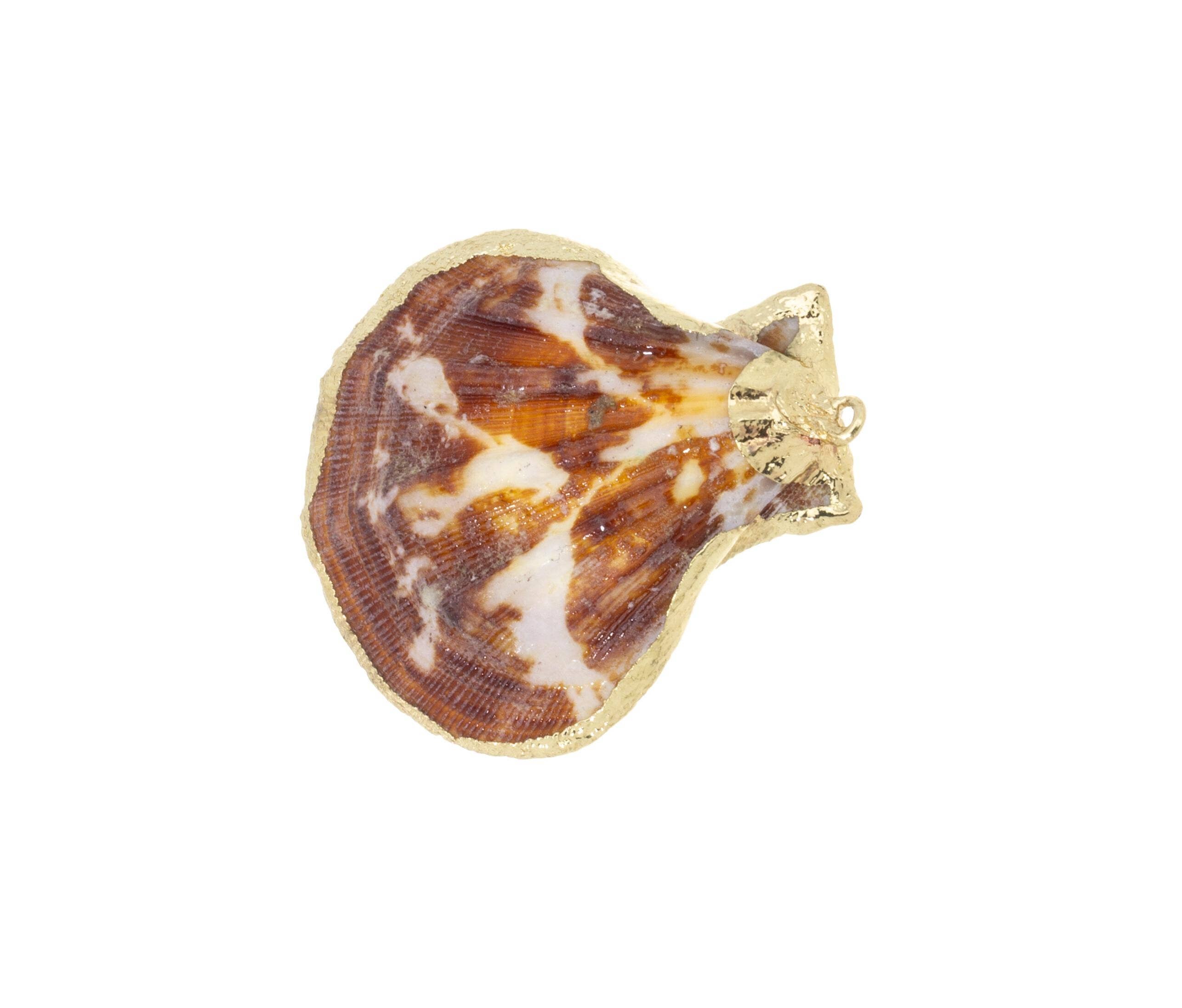 Scallop Shell Charms for Wind Chimes and Jewelry CPG736