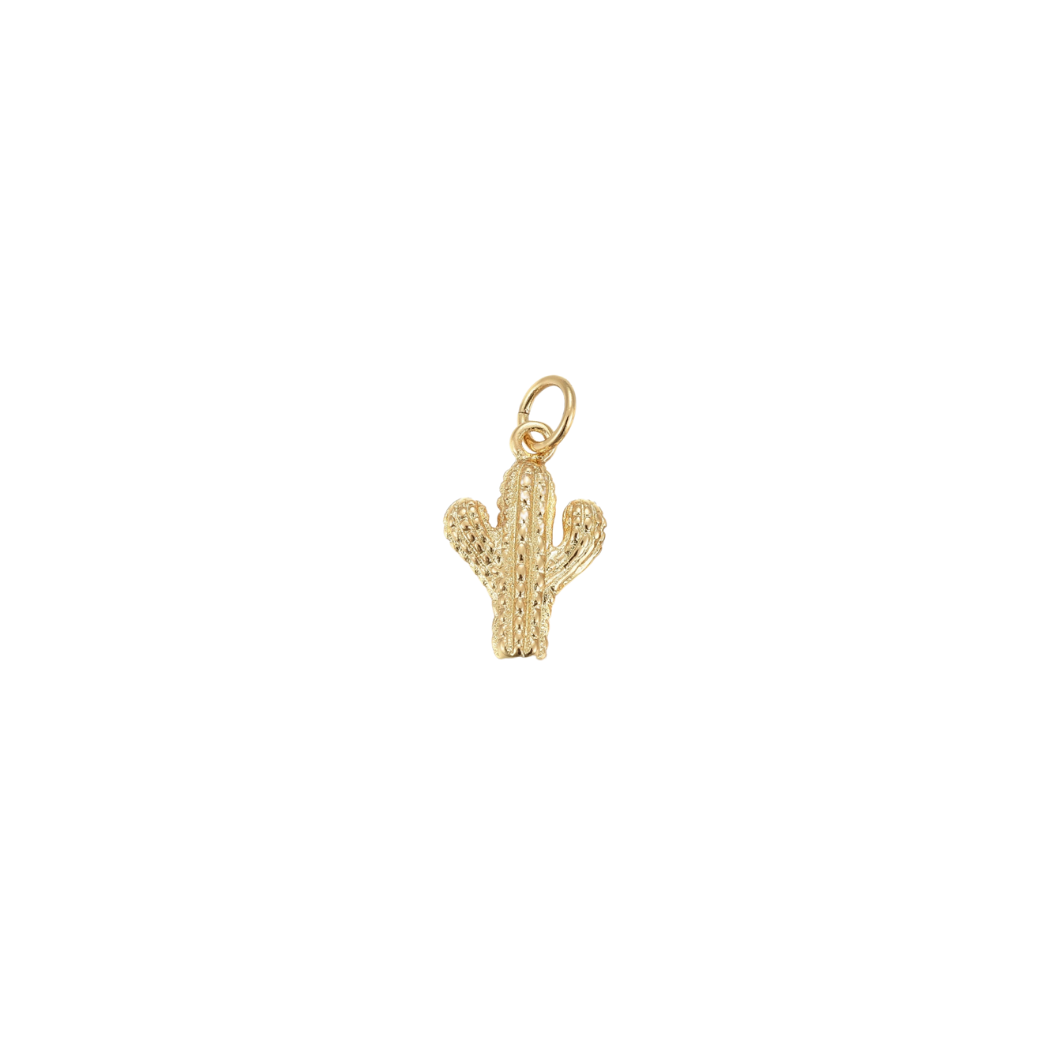 Gold Cactus Cutie Charm
