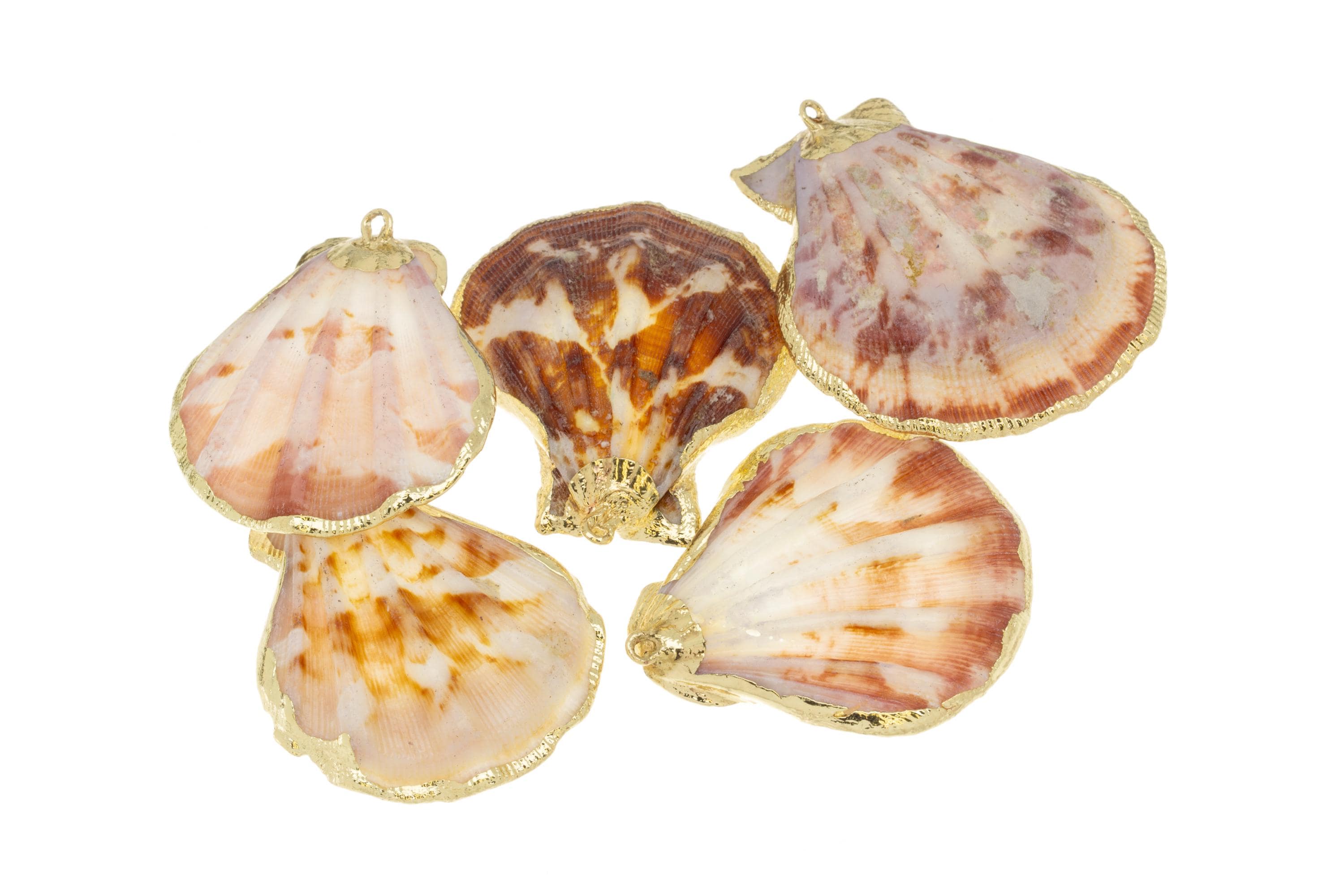 Scallop Shell Charms for Wind Chimes and Jewelry CPG736
