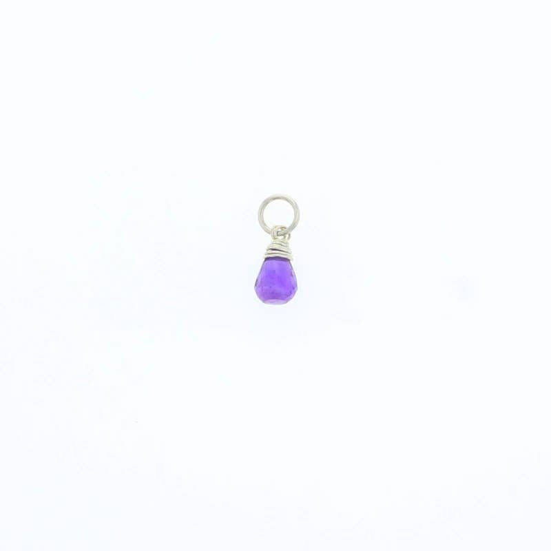Natural Birthstones Charm